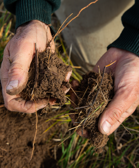 Module 6: Healthy soils