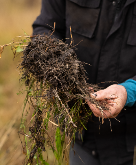 Module 7: Grow More Pasture